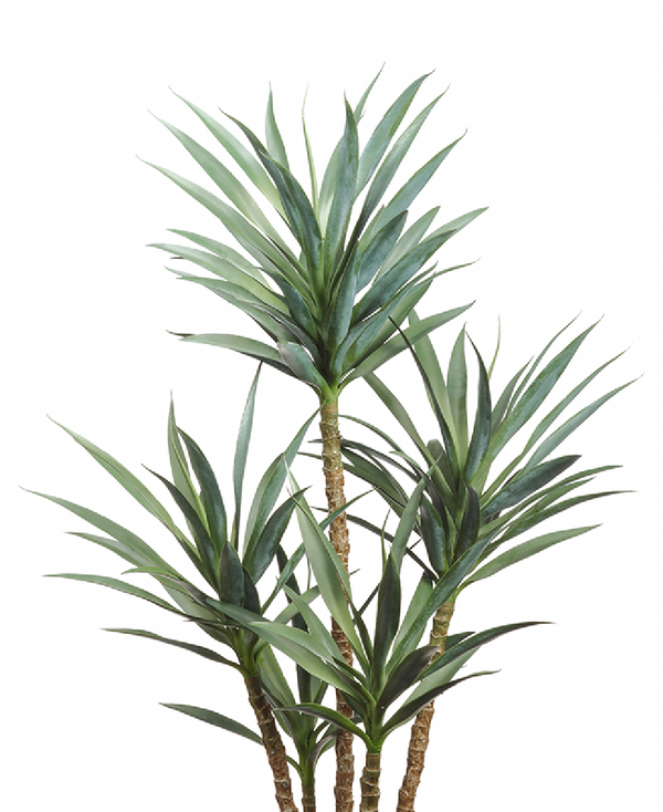 Yucca Plant in Plastic Pot, Green - 60"