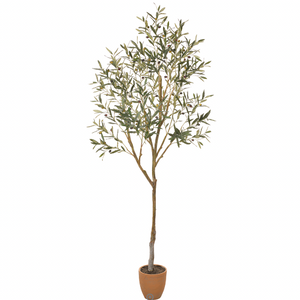 Olive Tree in Cement Pot, Green - 84"