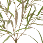 Banksia Leaf Bush, Green - 33.5"