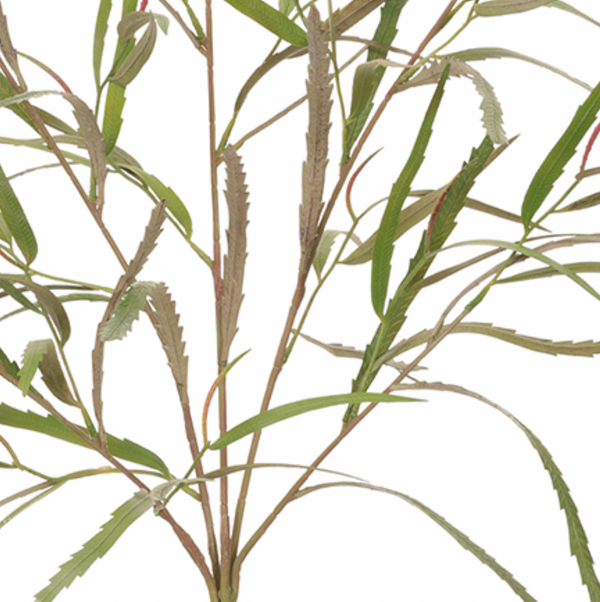 Banksia Leaf Bush, Green - 33.5"