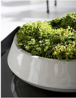 Berry Head in Planter, Green -20"W x 10"H