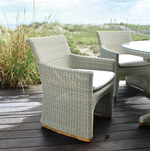 Westport Dining Arm Chair, Sea Salt/Canvas