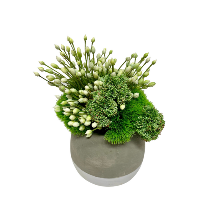 Agapanthus & Grass in Ash Pot, 11" x 13"