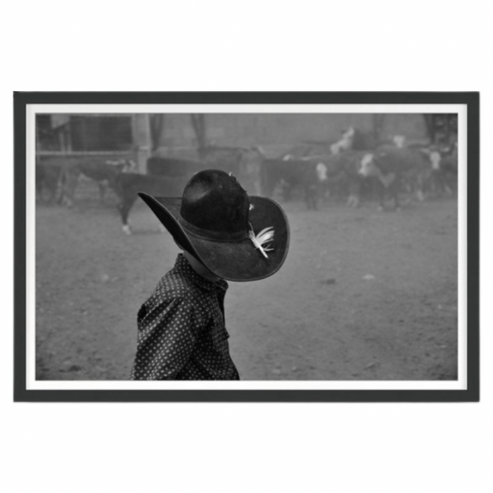 Feather, 30"H x 45"W