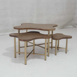 Cayo Nesting Tables, Fawn/Brass (Set of 3)
