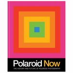 Polaroid Now: The History and Future of Polaroid Photography