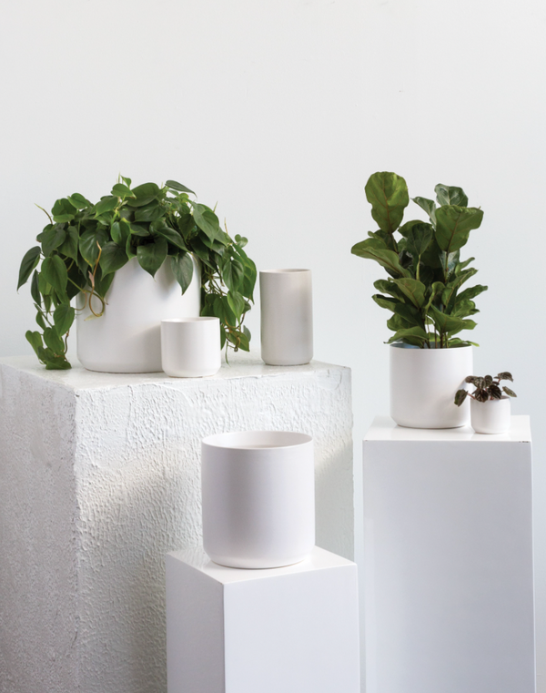 Kendall Pot- White, 6 Sizes