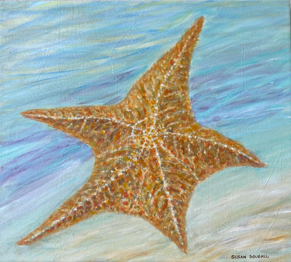 Starfish, 27.5"W x 24.5"H