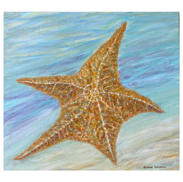 Starfish, 27.5"W x 24.5"H