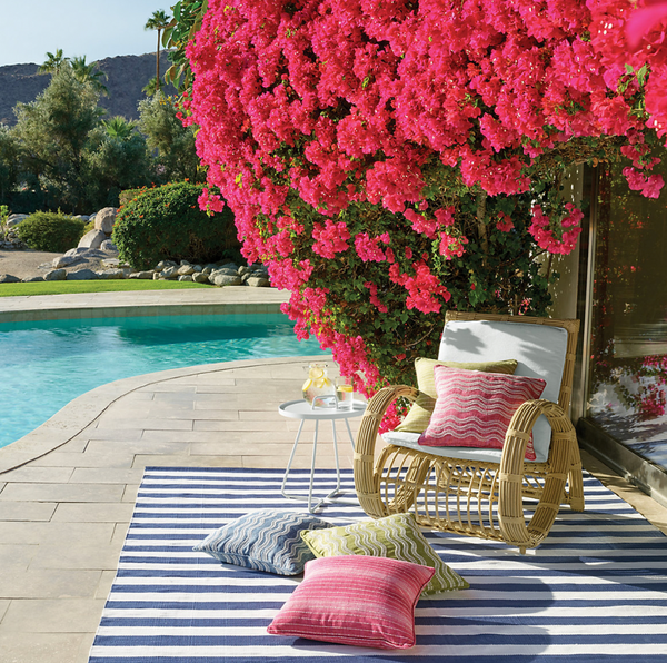 Phoenix Indoor / Outdoor Decorative Pillow - Fuchsia, 20" x 20"