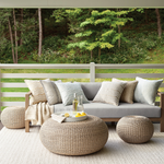 Phoenix Indoor / Outdoor Decorative Pillow - Natural, 20" x 20"