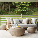 Phoenix Indoor / Outdoor Decorative Pillow - Grey, 20" x 20"
