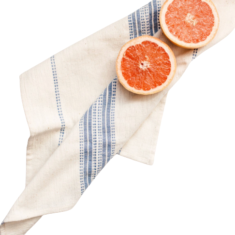 Aden Cotton Napkin, White & Navy