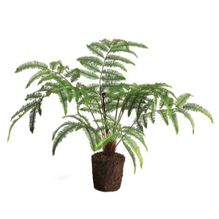 Forest Fern Drop-In 29.5"