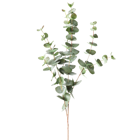 Green Grey Artificial Spiral Eucalyptus Branch, 40"