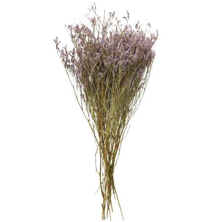 Natural Dried German Statice Flowers, 18-24"