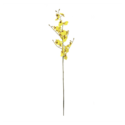 Oncidium Orchid Stem 36.5"