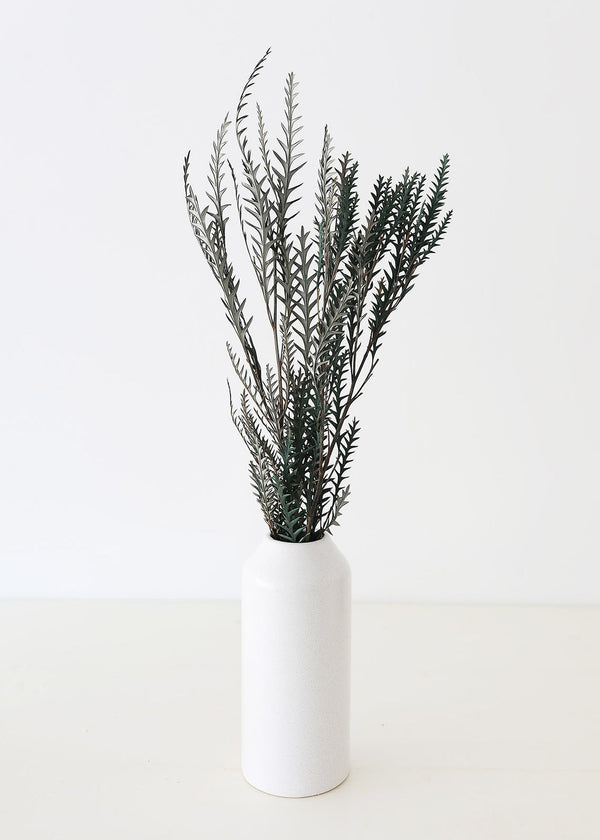 Preserved Cymodocea Serrulata Sea Grass Bundle, 24-29"
