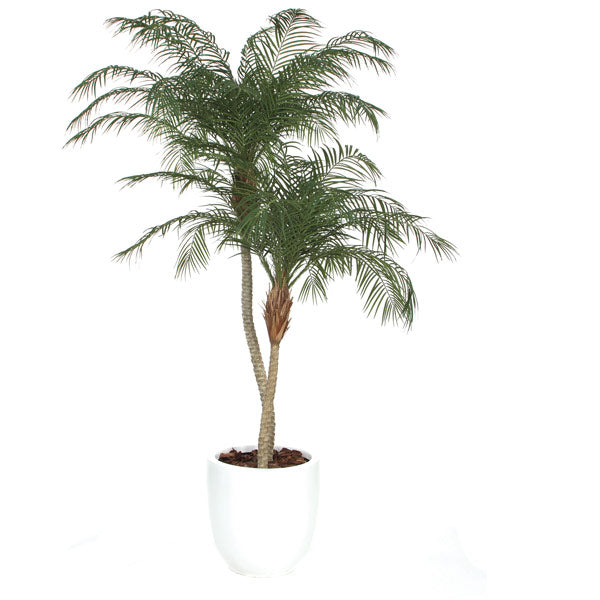 Deluxe Phoenix Palm, 96"