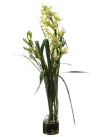 Cymbidium in Glass Vase, Green - 43"