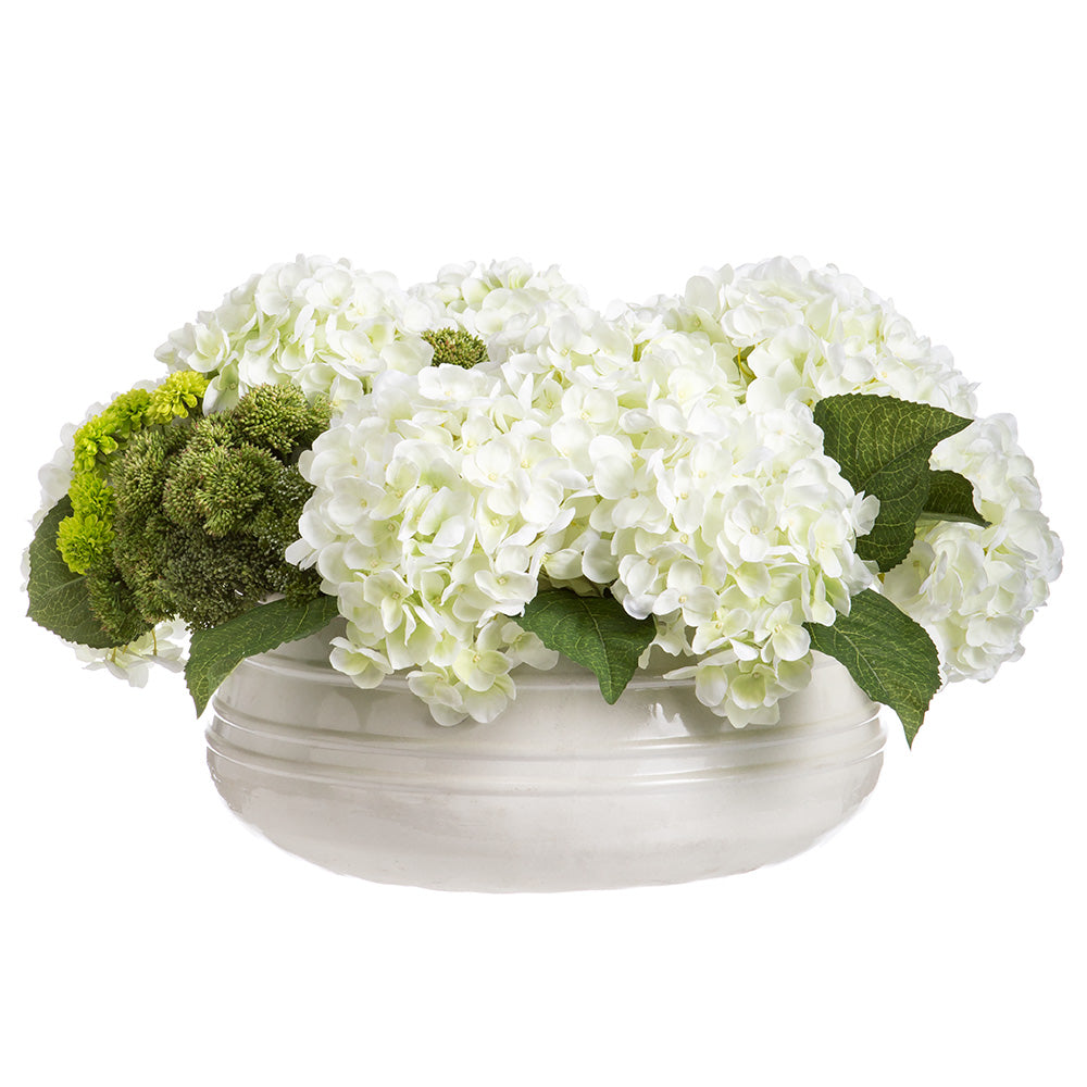 Hydrangea Sedum in Container, White / Green - 16"H