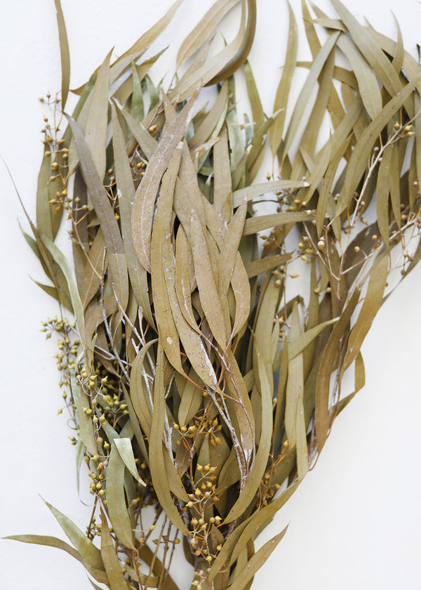 Olive and Tan Colored Preserved Seeded Eucalyptus Bundle, 18-28"