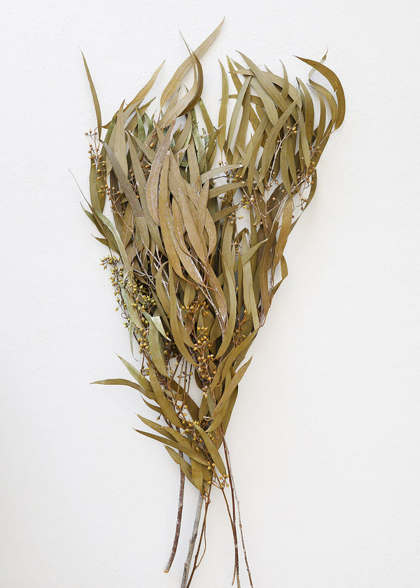 Olive and Tan Colored Preserved Seeded Eucalyptus Bundle, 18-28"