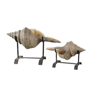 Conch Shell Sculpture, Set of 2