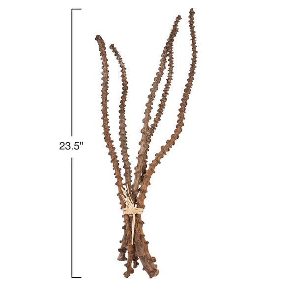 Banana Stem Bunch with Raffia Tie