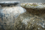 Terrence, Aged Teracotta Vase
