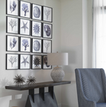 Sea Living Framed Prints - 8 Styles, 12" x 12"