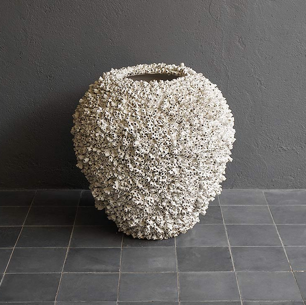 Barnacle No Rim, 2 Sizes
