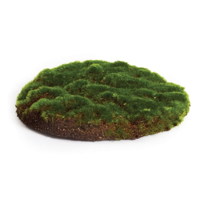 Moss Sheet Round, 2 sizes