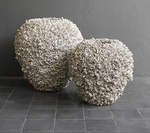 Barnacle No Rim, 2 Sizes