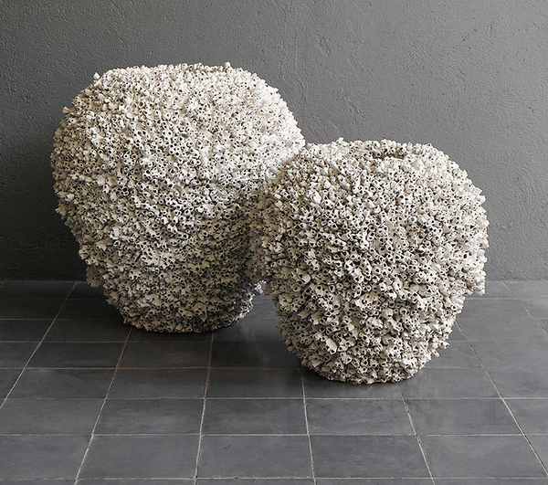 Barnacle No Rim, 2 Sizes