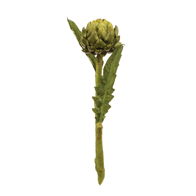 Artichoke Stem 25"