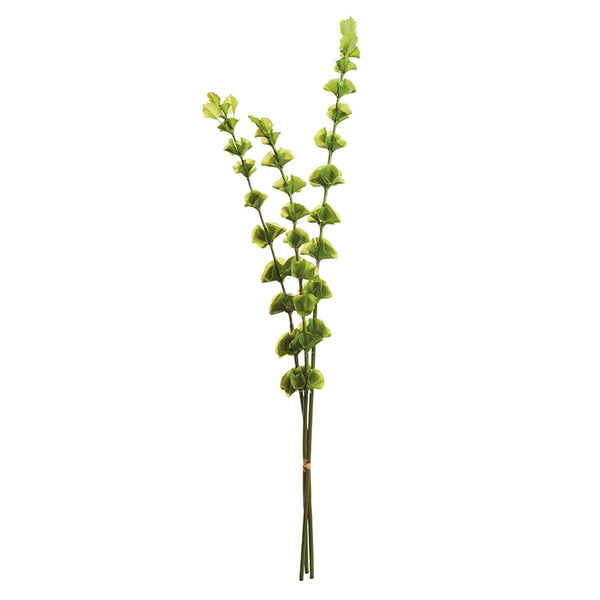 Bells of Ireland, Bundle of 3