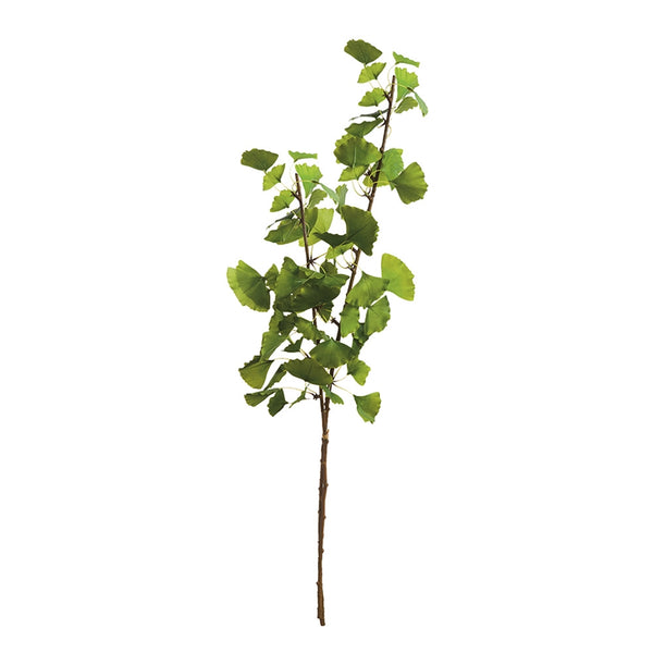 Ginkgo Branch Bundle