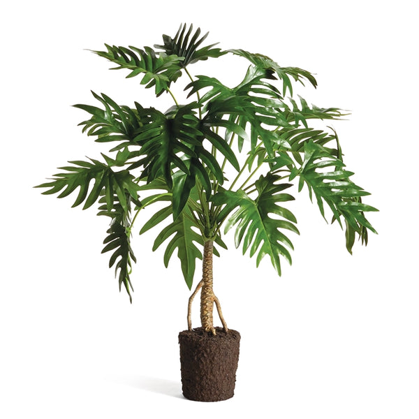 Split Leaf Selloum Drop-In 38.5"