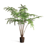 Forest Fern Drop-In 60"
