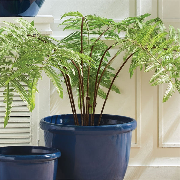 Forest Fern Drop-In 60"