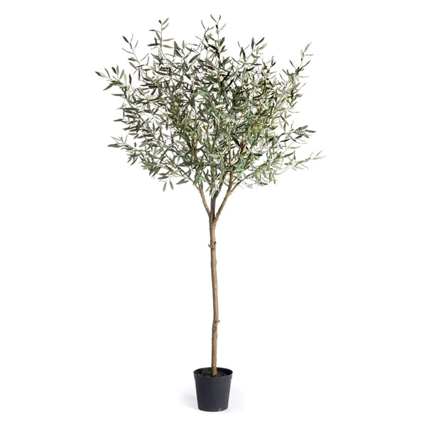 Olive Tree Drop-In 96"
