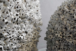 Barnacle No Rim, 2 Sizes