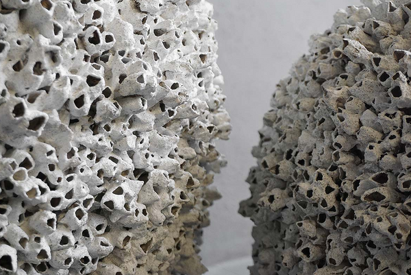 Barnacle No Rim, 2 Sizes