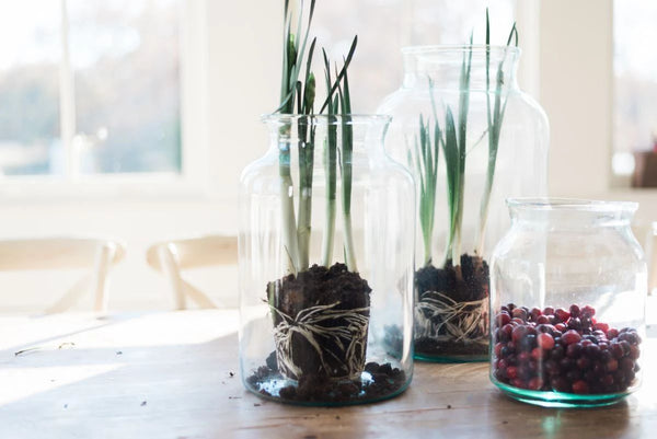 Clear Mason Jar, 5L