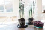 Clear Mason Jar, 20L