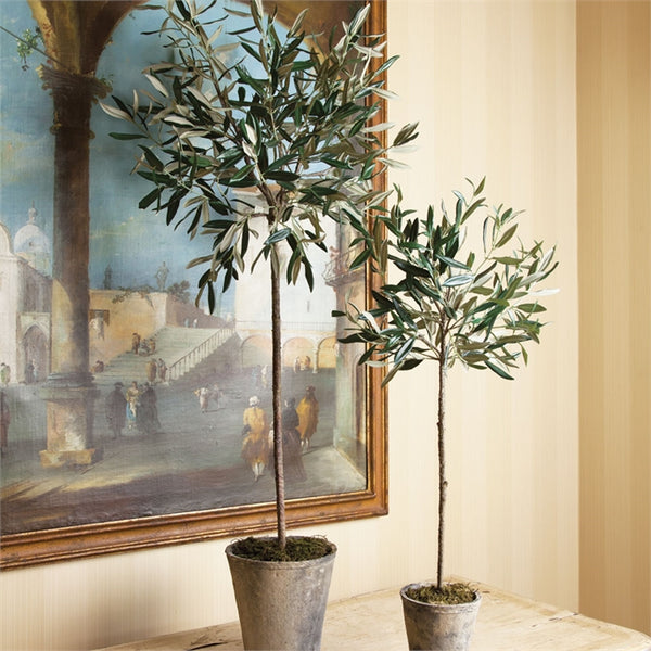 Olive Tree Potted, 46"