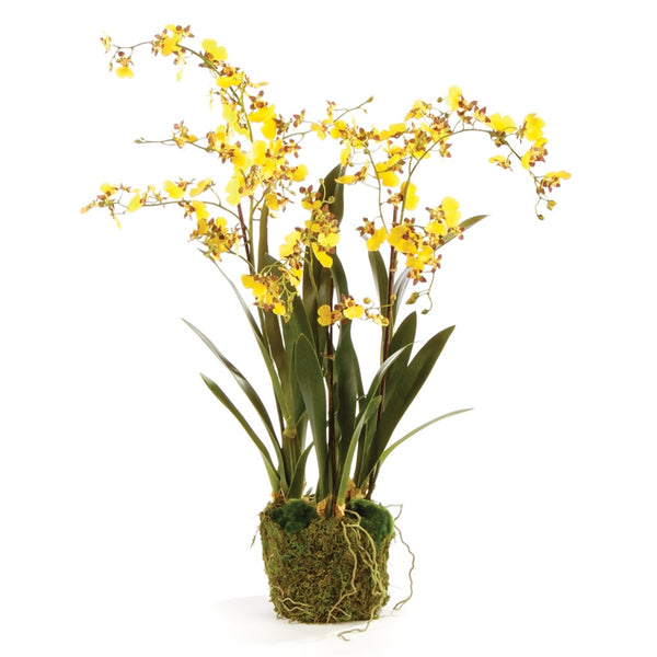 Dancing Orchid Drop-In, 32"