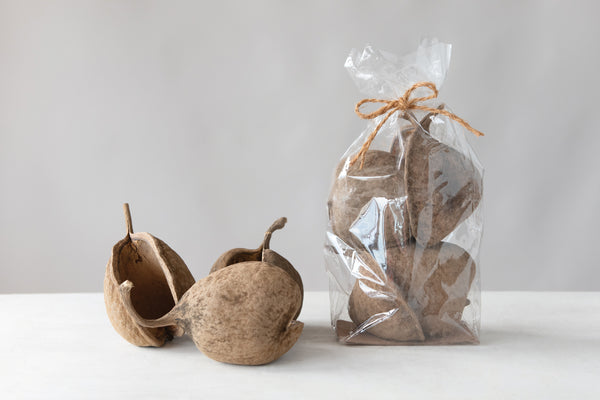 Dried Natural Buddha Nut, 3 Pieces