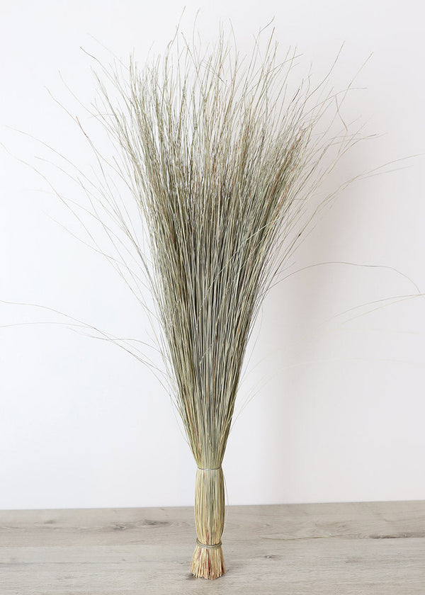 Preserved Green Dune Grass Bundle, 36"